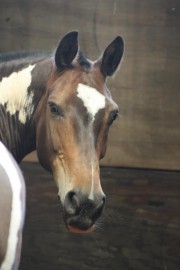 488226_4547623091869_884376314_n