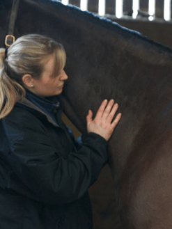 Una Browne McTimoney Equine and Canine Practitioner